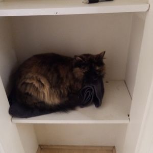 Meet your Posher, Bryce